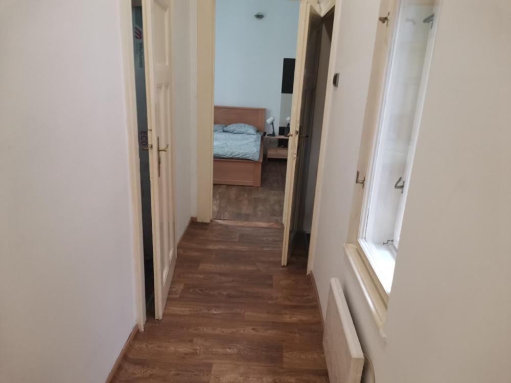 Cozy place plus Belgrad Zewnętrze zdjęcie